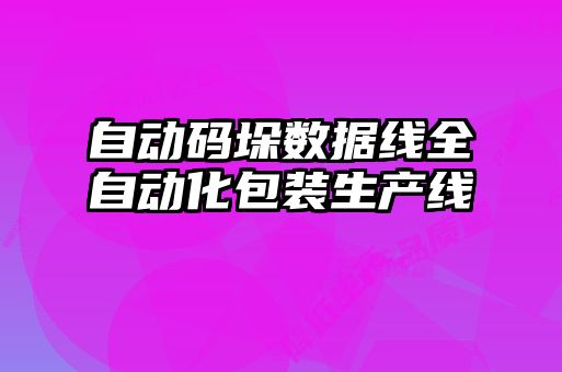 自動碼垛數(shù)據(jù)線全自動化包裝生產線
