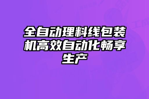 全自動理料線包裝機高效自動化暢享生產